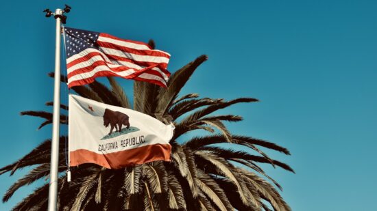 California flag with palm tree